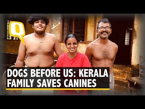 Family Refuses to Leave 27 Dogs in Kerala Floods, Deny Rescue Ops | The Quint