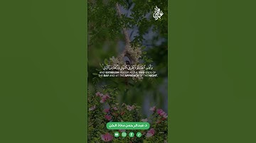 آيات مباركة من سورة هود (112-115) القارئ د.عبدالرحمن معاذ الخن