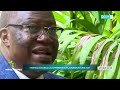 INFOS VERTES. LE PROF. DANIEL MULENDA PARLE DE LA CONFÉRENCE SUR LA DURABILITÉ PRÉVUE LE 18 JUIN 