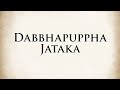 The jackal arbiter  dabbhapuppha jataka  animated buddhist stories