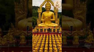 He Gurudev pranam aapke charno mein 🙏🙏 #buddhiststory #motivation #buddhateachings #buddha #shorts