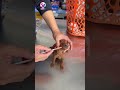 🐾 “Ba bé – một lịch hẹn: việc nhỏ nhưng không thể bỏ qua”