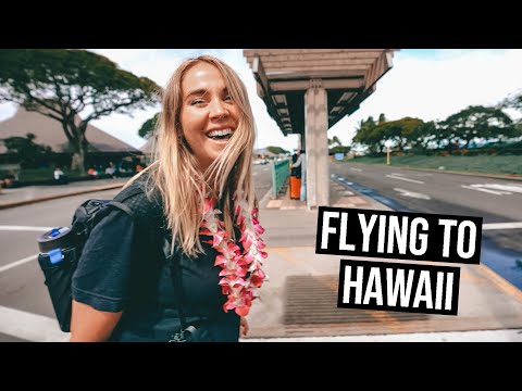 Video: Flyver Qantas til Hawaii?