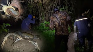 GIANT mud crab night hunting in rocky point Clarendon catch Ñ cook curry crab Ñ fry breadfruit