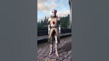 Relics of the Crusader (OBLIVION)