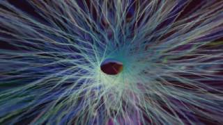 Ayondo Wandoşarkısı Sizin Için