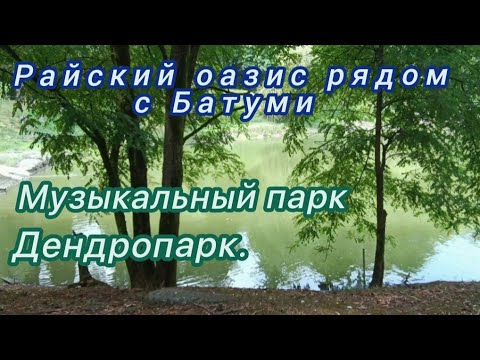 Дендропарк и Музыкальный