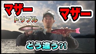 マザーとマザートリプル の違いは⁉︎ 7代目マザーレッド