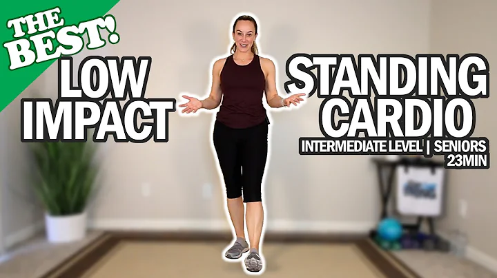 THE BEST Low Impact Standing Cardio Workout For Se...