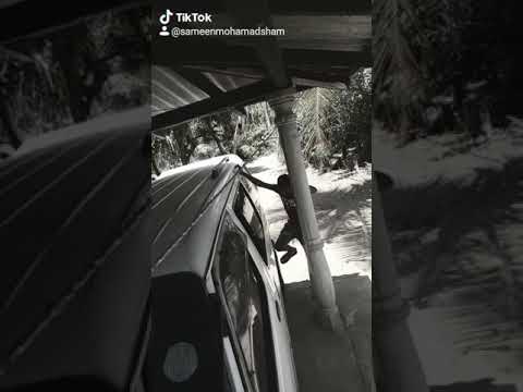 Tik tok just