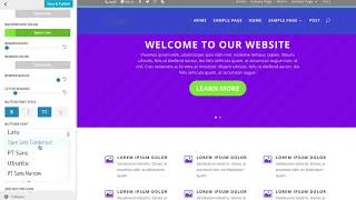 The Divi Theme and Module Customizer
