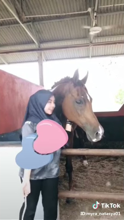 Awek tudung