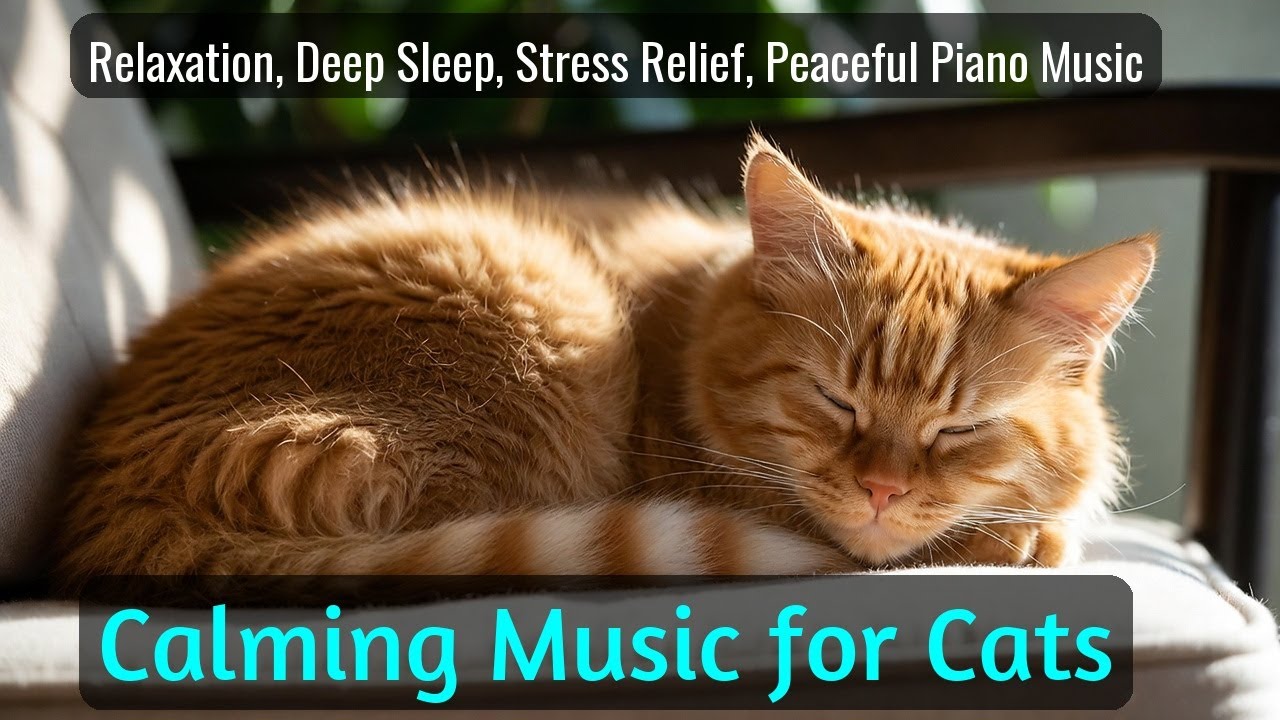 Calming Music for Cats - Relaxation, Deep Sleep, Stress Relief, Peaceful Piano Music | Season 66