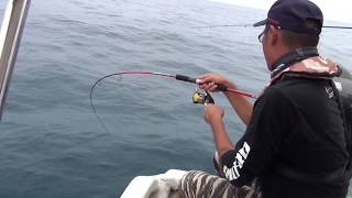 (4-10lb) RF GT-ZERO 601 R3 CUSTOM Micro Jig Rod Challenge Cobia 8.5kg