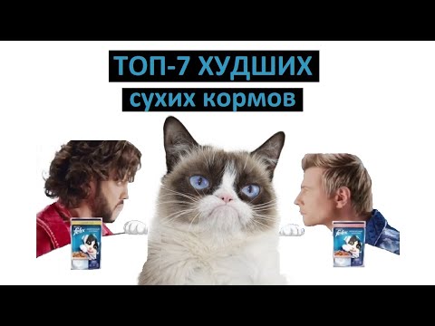 ТОП-7 ХУДШИХ сухих кормов для КОШЕК