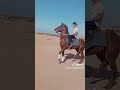 15 مايو، 2025
