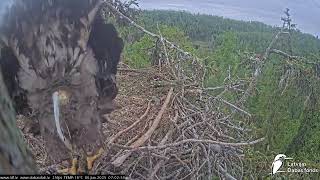 J E20250606 070200NeoShootsCameraBlind