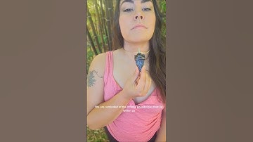 Stone Tools and Wilderness Skills #wildernesssurvival #wildernesscraft #diy #bushcrafttools #arrow