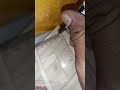 carpenters technique #woodworking #wood #woodscraft #diy