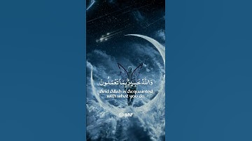 ولن يؤخر الله نفسا إذا جاء أجلها | القارىء شريف مصطفى | حالات واتس اب دينية قصيرة قران كريم