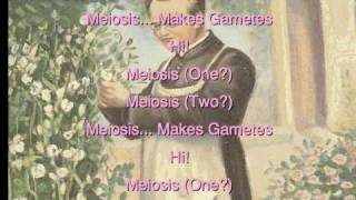 Hi, Meiosis
Tired of hearing that you have your moms nose? How did her genes get passed down to you? This flipped version of Eminems My Name Is explores gametes and beyond. ↓ More info and resources below ↓
Subscribe to Science With Tom: http://bit.ly/1Hf68JW
Website: https://www.sciencewithtom.com/
Facebook - https://www.facebook.com/ScienceWithTom
Twitter - https://twitter.com/ScienceWithTom
Instagram - https://instagram.com/sciencewithtom/
Snapchat - +ScienceWithTom Hi, Meiosis