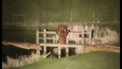 NULL skin chase - PWNed by 14:00 OST