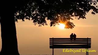 Ağlayan Keman.. Farid Farjad