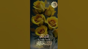 الشيخ عبدالباسط عبدالصمد صوت جميل جدا تلاوة مؤثرة | abdulbasit
