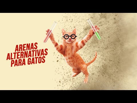 Vídeo: Gato De Bayun - Vista Alternativa