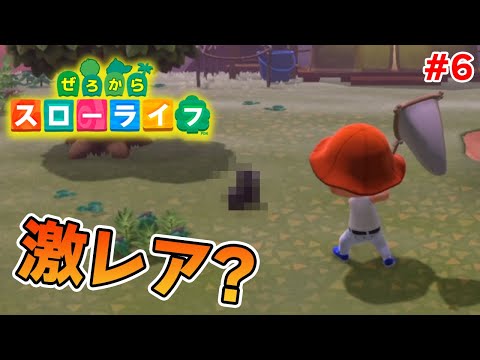 【あつ森】ぜろから始める超スローライフ生活#6【あつまれどうぶつの森】【ぽんすけ】