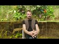 Are Invasive Species Always a Problem? | ARTE.tv Documentary