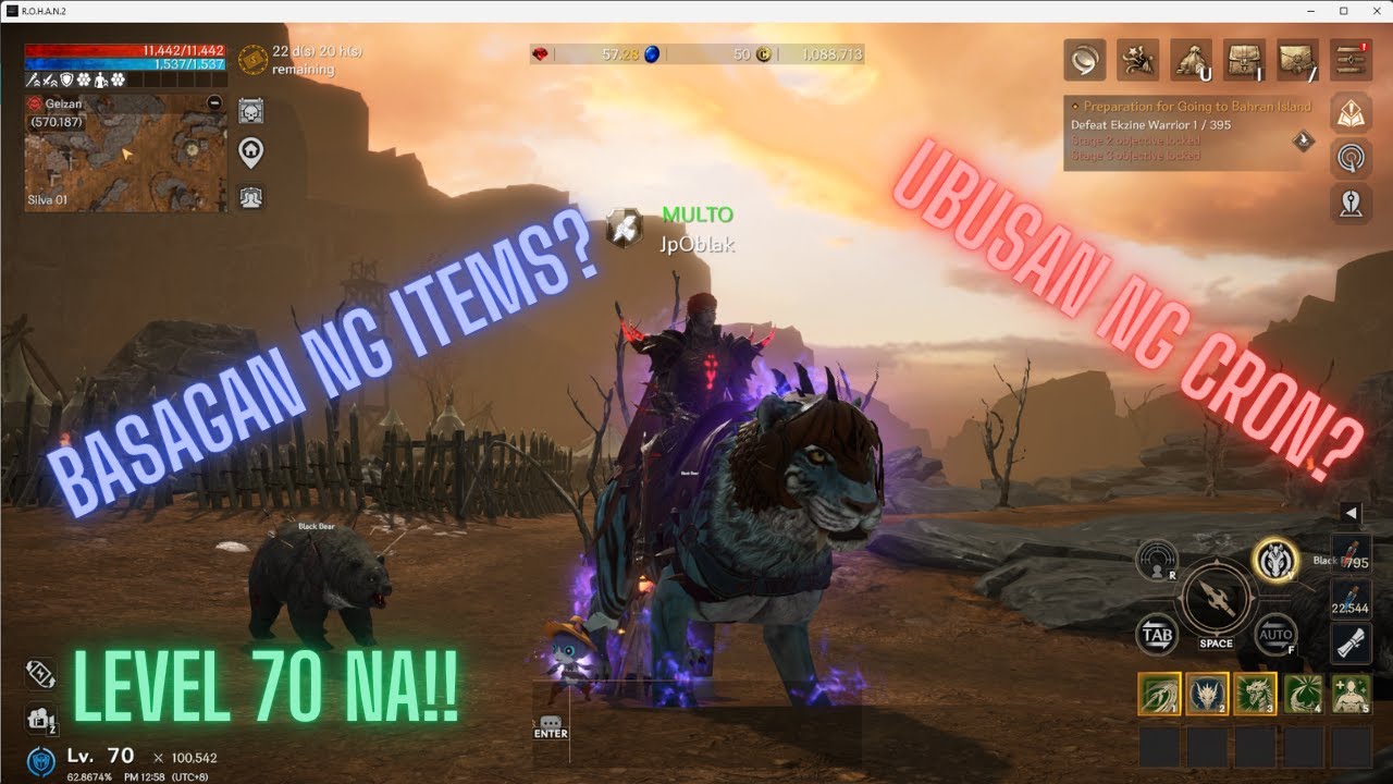 [Rohan 2 Global] Reached Level 70! update tayo sa dekan natin :) - YouTube