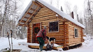 Famous Wilderness Off Grid Log Cabin: Snow, Preparing For Winter Living, Moose Net Worth