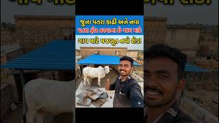 ગાય માટે નવા પતરા|| #ytshorts#Hardwork #VillageLife#Gujarati#shorts #farming#indianyoutuber