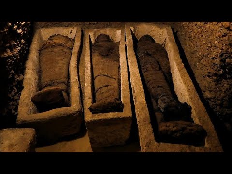 Egyptian archaeologists discover 50 unidentified mummies