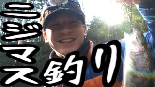 ニジマス釣りしてきた！！