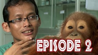 We Love Orangutans | Agus Fachroni  Veterinarian Coord at BOS Foundation Nyaru Menteng