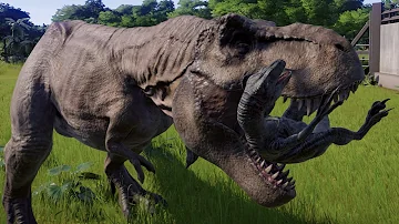 Did T. rex eat velociraptor?