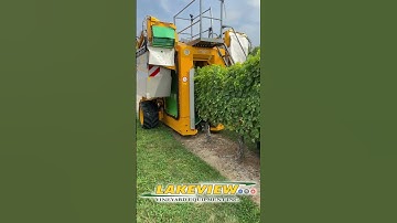John Deere 6420 and Gregoire G3.220 Harvesting Sauvignon Blanc Grapes