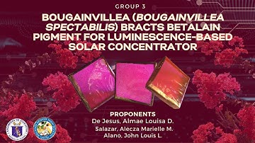 STEM 12 - GROUP 3: CAPSTONE  AND 3I