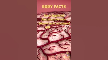 "Unveiling the Secrets of Brain Nerves: A Fascinating Journey into the Depths of Neurobiology! 🧠🌌