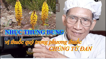 #65. Nhục thung dung- thuốc quý trong phương thuốc Chủng Tử Đan l Dr.Do Nguyen Thieu Official