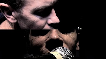 The Kings of Frog Island: Fine