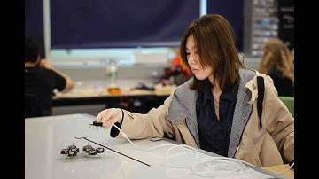 Robot collectives inspired by swarms in nature