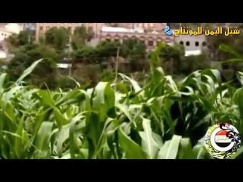 ايوب طارش الحان الحقول مع مناظر اليمن السعيد