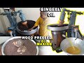 HOW ? Gingelly OIL is Prepared ? | Wood Pressed Oil | Chekku Ennai | Factory Explorer