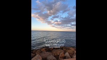 سورة إبراهيم (الآية 12)