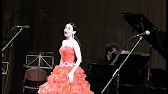 Орхидеи,узамба́рские фиалки,Самара🌺