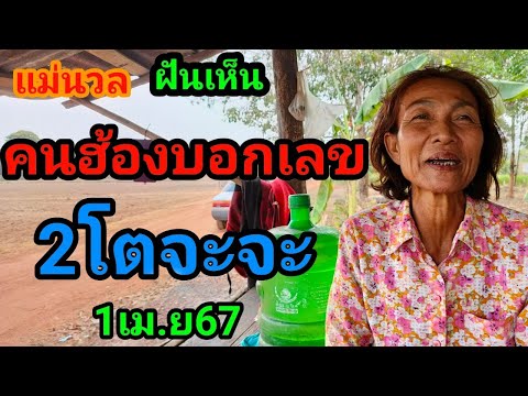 ผลสลากกินแบ่งรัฐบาล วันที่ 1 พย. 2567