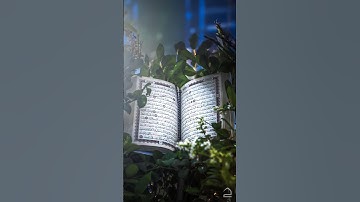 #القرآن_الكريم #يافاطمه #تلاوة_خاشعة #اكسبلور #دويتو #راحة_نفسية #حالات_واتس #تيك_توك #لايك #duet